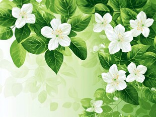 清新茉莉花绿叶背景图