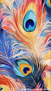 绚丽孔雀羽毛图案纹理