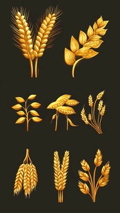 金色麦穗插画素材