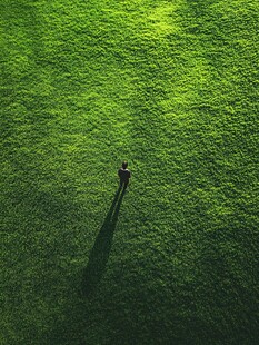 一人独站于葱郁绿草地
