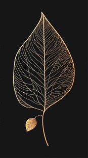 金色叶脉叶片艺术插画