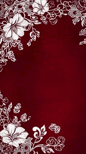 酒红色底花卉精致边框图案