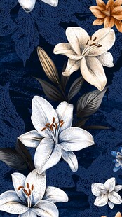 深蓝背景下的优雅百合花