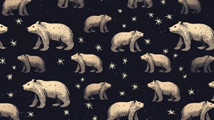 熊与星夜无缝图案纹理