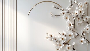 中式素雅白梅装饰背景图