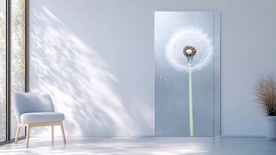 简约室内 带蒲公英图案的门