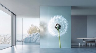 现代简约风室内的蒲公英墙饰