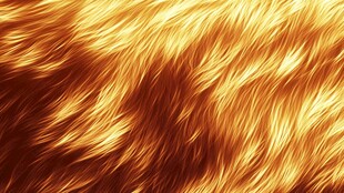 金色毛绒纹理背景图