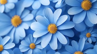 蓝色小花簇拥的美丽景象