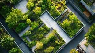 屋顶绿植景观俯瞰图