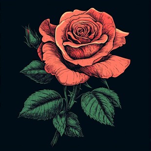 手绘红玫瑰与绿叶花卉图