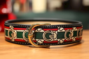 时尚Gucci风宠物项圈