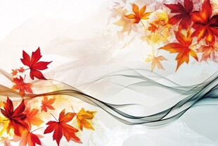 秋韵枫叶飘 灵动线条美