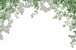 清新绿植花边装饰图案