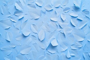 浅蓝色花瓣背景纹理
