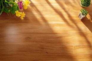 阳光洒落木地板与花卉