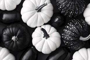 黑白南瓜静物组合
