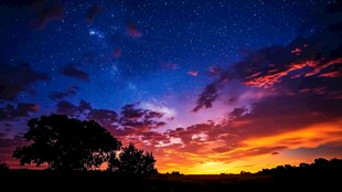 夕阳星空下的静谧树木