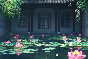 古宅荷池 清幽诗意之景