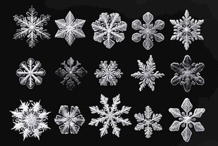 多样精美雪花图案展示