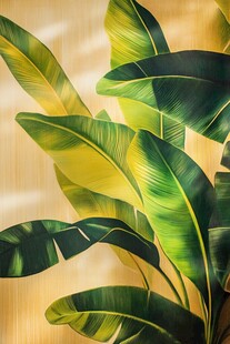 热带芭蕉叶 自然清新之美