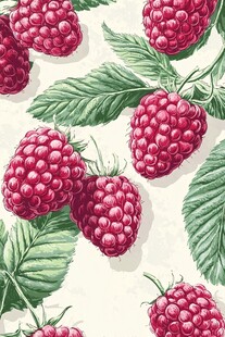 手绘覆盆子图案