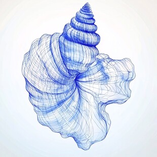 蓝色线条勾勒的精美海螺