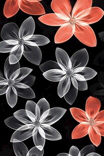 幻彩透明花朵黑色背景图