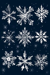 多样雪花图案 冬日元素集