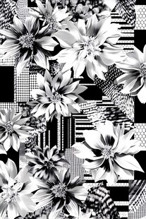 黑白花卉几何图案纹理