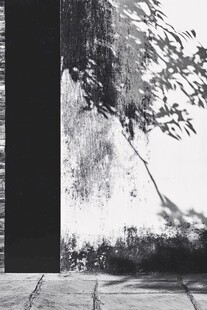 墙影婆娑 尽显静谧之美