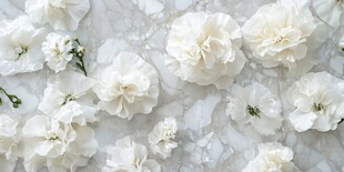 白色花卉铺于大理石背景