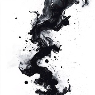 墨韵舞动 黑白艺术之美