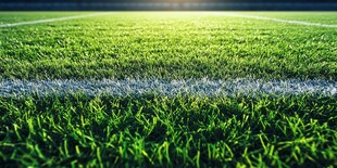 绿茵足球场 阳光下的草地