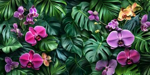 热带兰与绿叶的梦幻组合