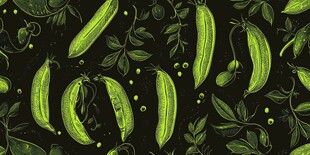 青豌豆植物图案背景设计