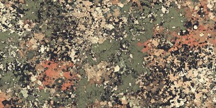 迷彩纹理素材图