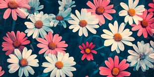 缤纷雏菊绽放梦幻背景