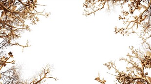 秋日树枝边框背景图