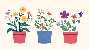 三盆多彩花卉插画