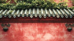 红墙黛瓦上的绿意生机