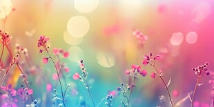 梦幻花海中的缤纷小花