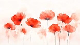 水彩绘就的艳丽红色罂粟花
