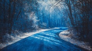 蓝色梦幻林间蜿蜒小路