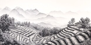 水墨梯田映远山
