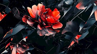 黑底红花朵的破碎艺术画面