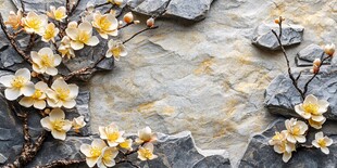 石上绽放的素雅黄色花朵