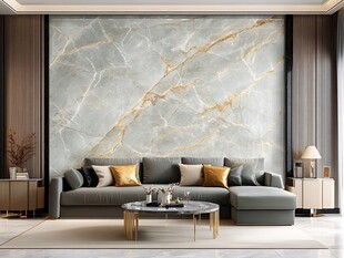 轻奢大理石背景客厅沙发