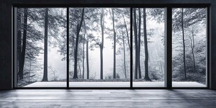 室内望外的静谧森林景致