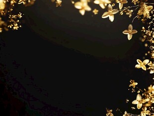 金色花朵装饰黑色背景